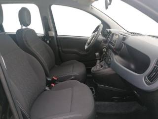 FIAT Panda usata 17