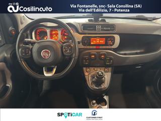 FIAT Panda Cross usata, con Controllo trazione