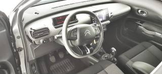 CITROEN C4 Cactus usata 59