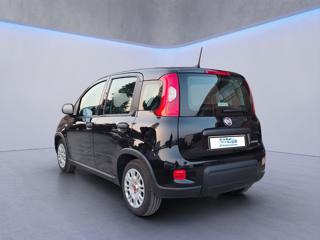 FIAT Panda usata, con Alzacristalli elettrici