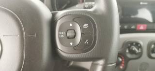 FIAT Panda usata 43