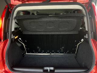 FIAT Panda usata, con Cronologia tagliandi