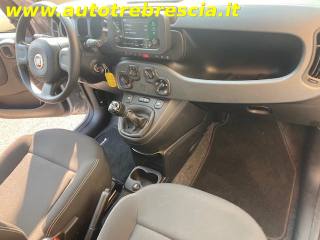 FIAT Panda usata, con Volante multifunzione