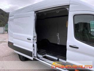 FORD Transit usata, con Fendinebbia