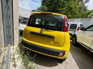 FIAT Panda usata, con Alzacristalli elettrici