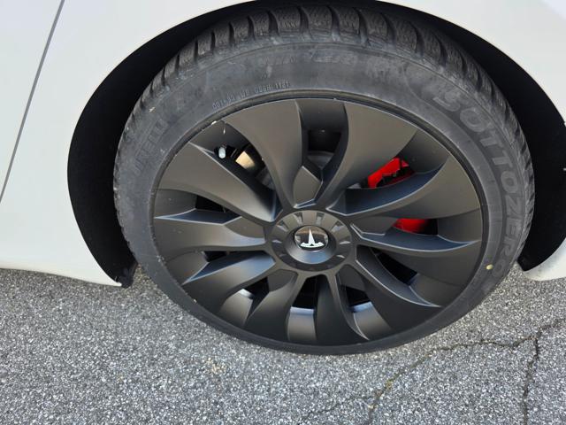 TESLA Model 3 usata, con Fendinebbia