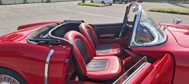 FIAT Other usata 43