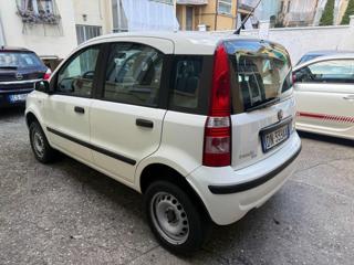 FIAT Panda usata, con Immobilizzatore elettronico