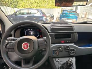 FIAT Panda usata, con Servosterzo