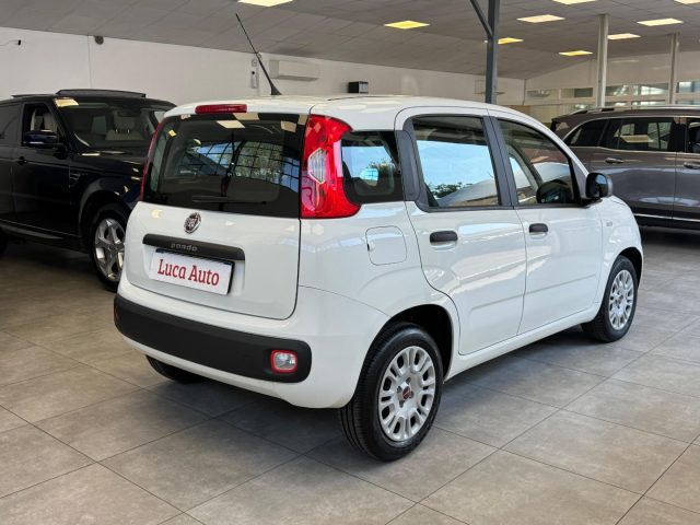 FIAT Panda usata, con Alzacristalli elettrici