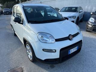 FIAT Panda usata, con Antifurto