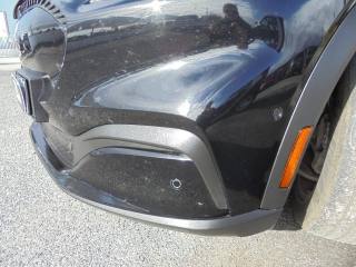 FORD Mustang Mach-E usata, con Antifurto