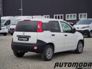 FIAT Panda usata, con Airbag Passeggero