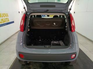 FIAT Panda usata 6