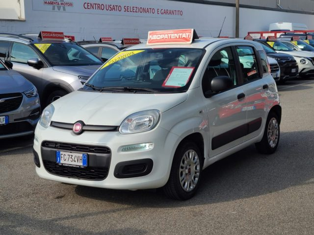 FIAT Panda usata 15