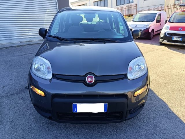 FIAT Panda usata 2