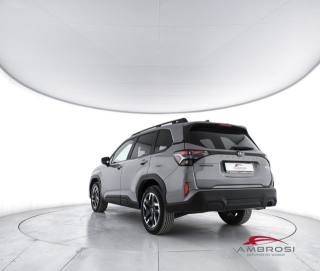 SUBARU Forester usata 3