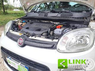 FIAT Panda usata 18