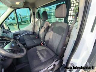 FORD  usata 11