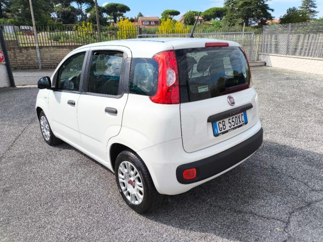 FIAT Panda usata 3