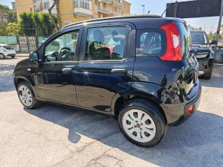 FIAT Panda usata, con Antifurto