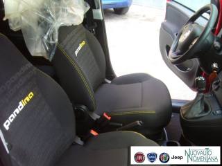 FIAT Panda usata, con Riconoscimento dei segnali stradali