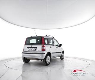 FIAT Panda usata 2