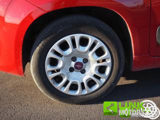 FIAT Panda usata 36