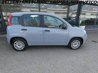 FIAT Panda usata, con Autoradio