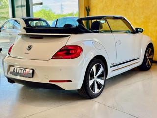 VOLKSWAGEN Maggiolino usata, con Park Distance Control