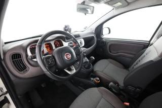 FIAT Panda usata 1