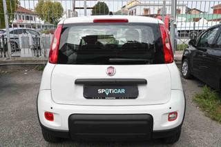 FIAT Panda usata, con Airbag Passeggero