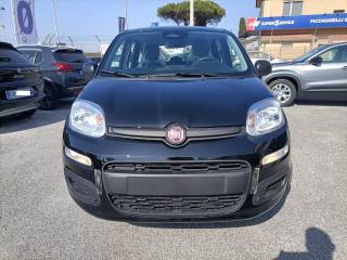 FIAT Panda usata, con Airbag