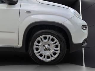 FIAT Panda usata, con ESP