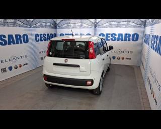 FIAT Pandina usata, con Airbag Passeggero