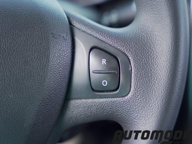 RENAULT Clio usata 21