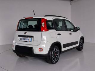FIAT Panda usata, con Servosterzo
