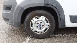 FIAT Ducato usata, con Controllo vocale