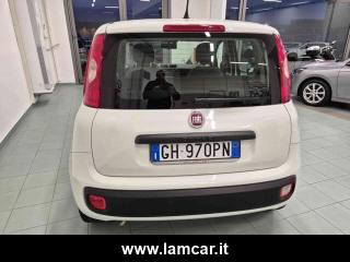 FIAT Panda usata, con Controllo trazione