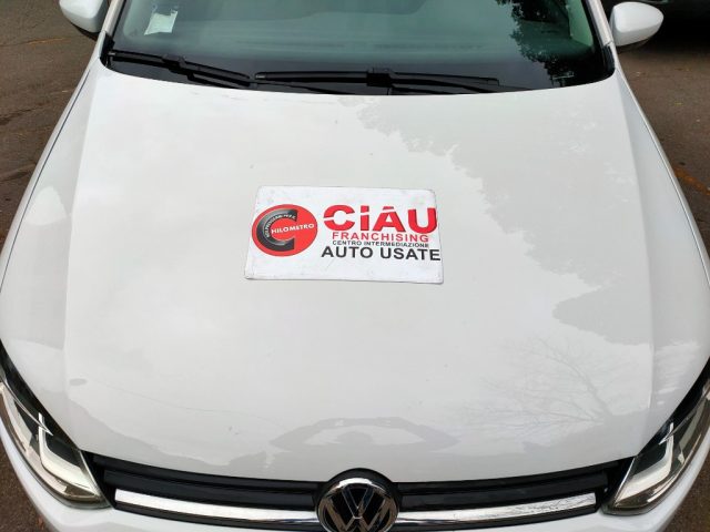 VOLKSWAGEN Polo usata, con Bracciolo