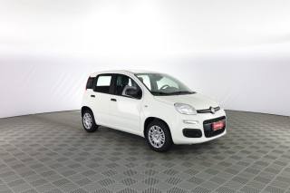 FIAT Panda usata 1