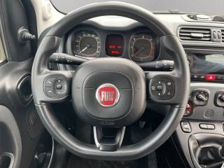 FIAT Panda usata 10