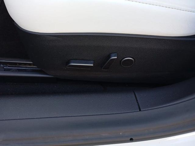 TESLA Model 3 usata, con Fendinebbia