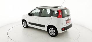 FIAT Panda usata 48