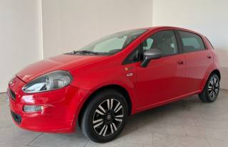 FIAT Punto usata 2