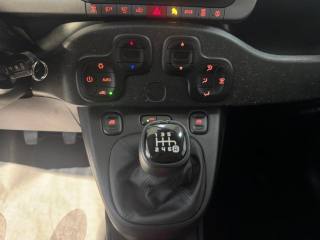 FIAT Panda Cross usata, con ESP