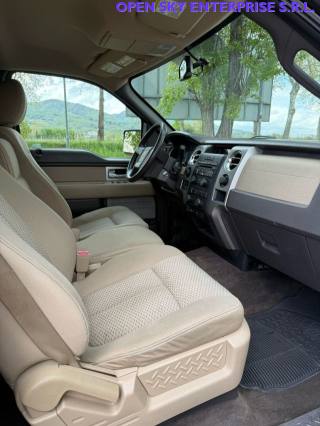 FORD F 150 usata, con Bracciolo