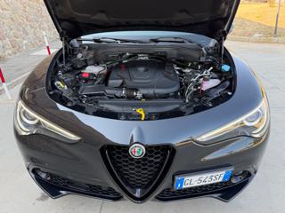 ALFA ROMEO Stelvio usata, con Bracciolo