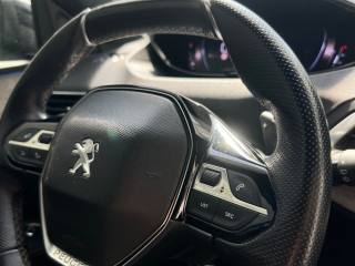 PEUGEOT 3008 usata, con Vetri oscurati