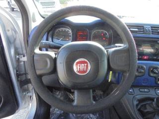 FIAT Panda usata 16